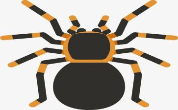 中班蜘蛛教案7篇