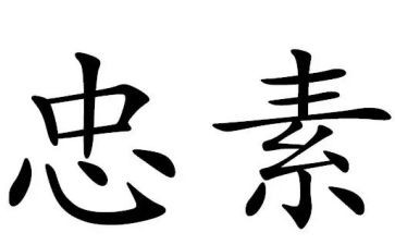 忠的感悟心得体会优秀7篇
