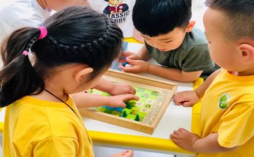 小中班教案优秀5篇