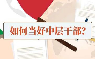 2024年企业中层干部工作总结6篇