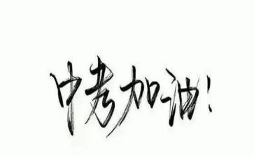 中考学生心得体会7篇