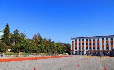 镇中心校2024年工作总结精选7篇