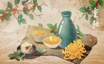 重阳节村活动总结通用8篇
