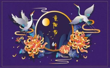 重阳节活动方案模板6篇