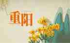 重阳节活动方案优秀5篇