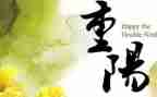 幼儿园大班重阳节教案5篇