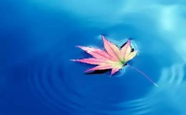 对幼儿自然教育的心得体会5篇