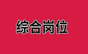 综合岗试用期工作总结7篇