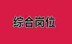 综合岗试用期工作总结7篇