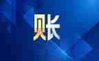 总账会计年度总结7篇