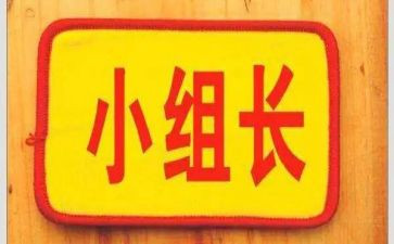 工作组长工作计划6篇