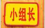 工作组长工作计划6篇