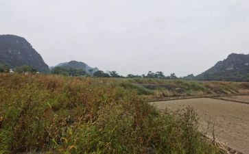 房屋租赁合同的范文7篇